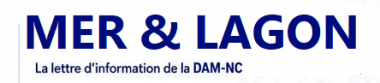 logo_merlagon_06-2026.png