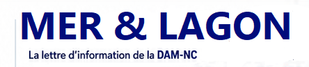 logo_merlagon_06-2026.png